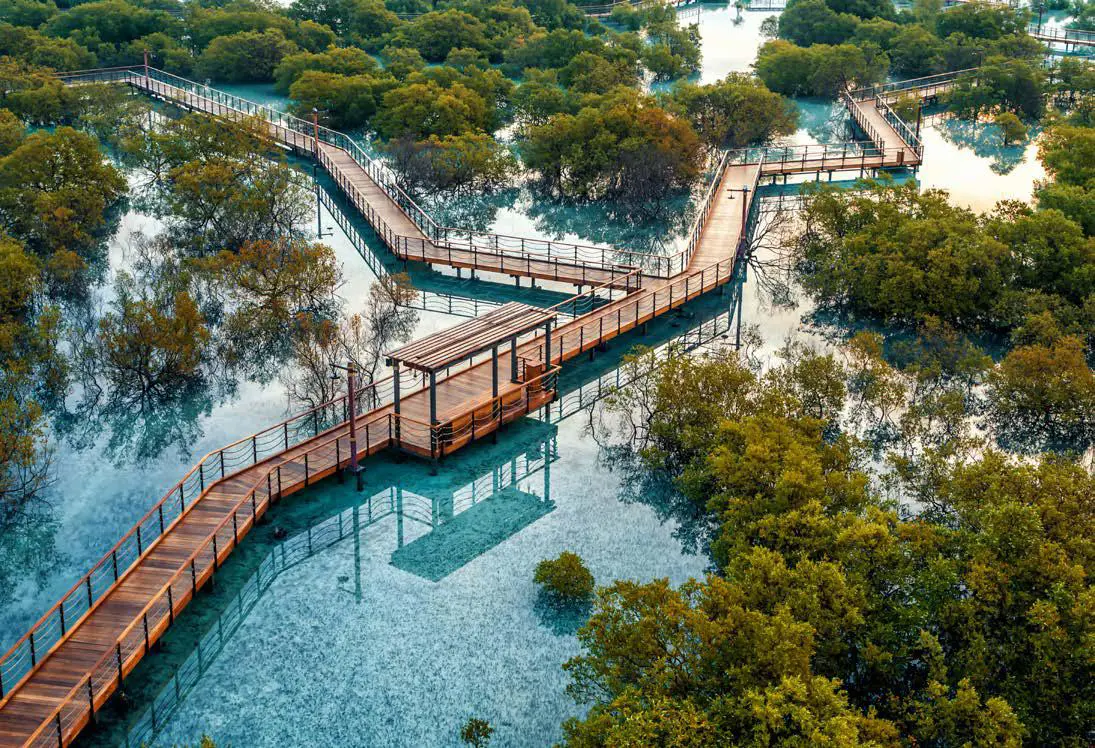 Jubail Mangrove Park