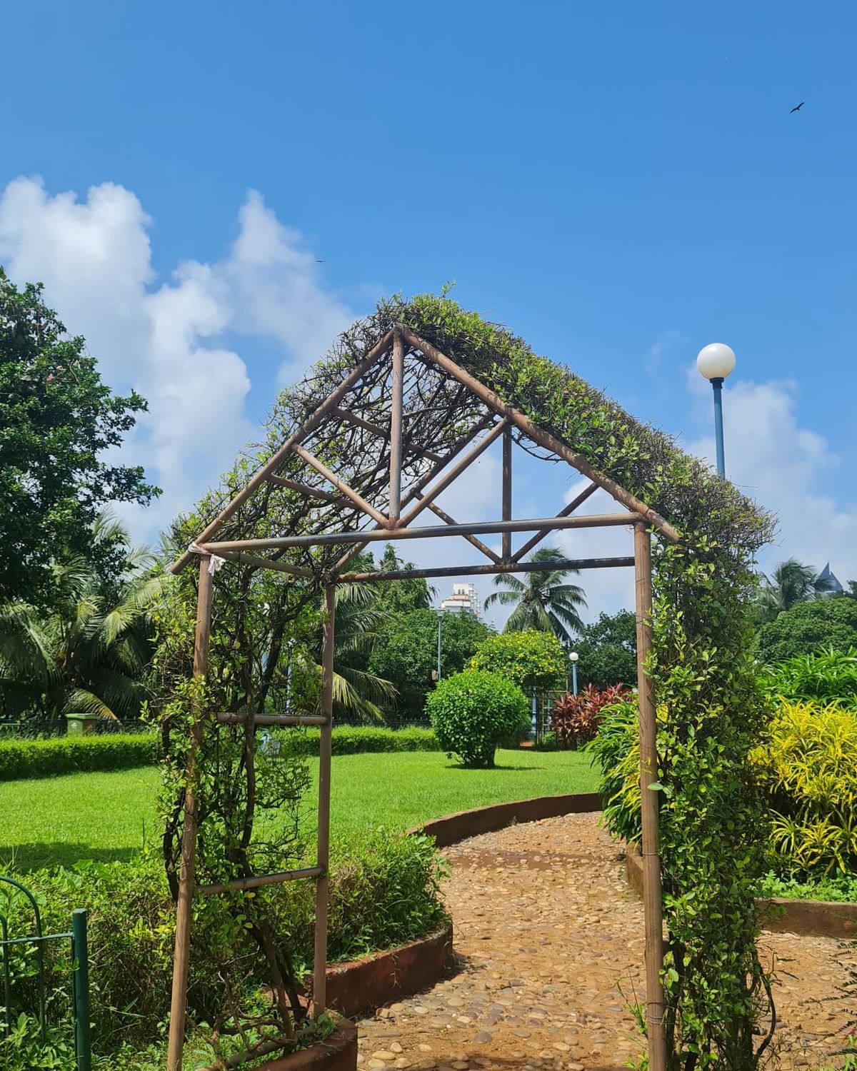 Hanging Garden