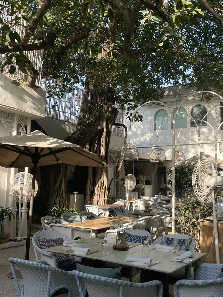 Olive Bar and Kitchen