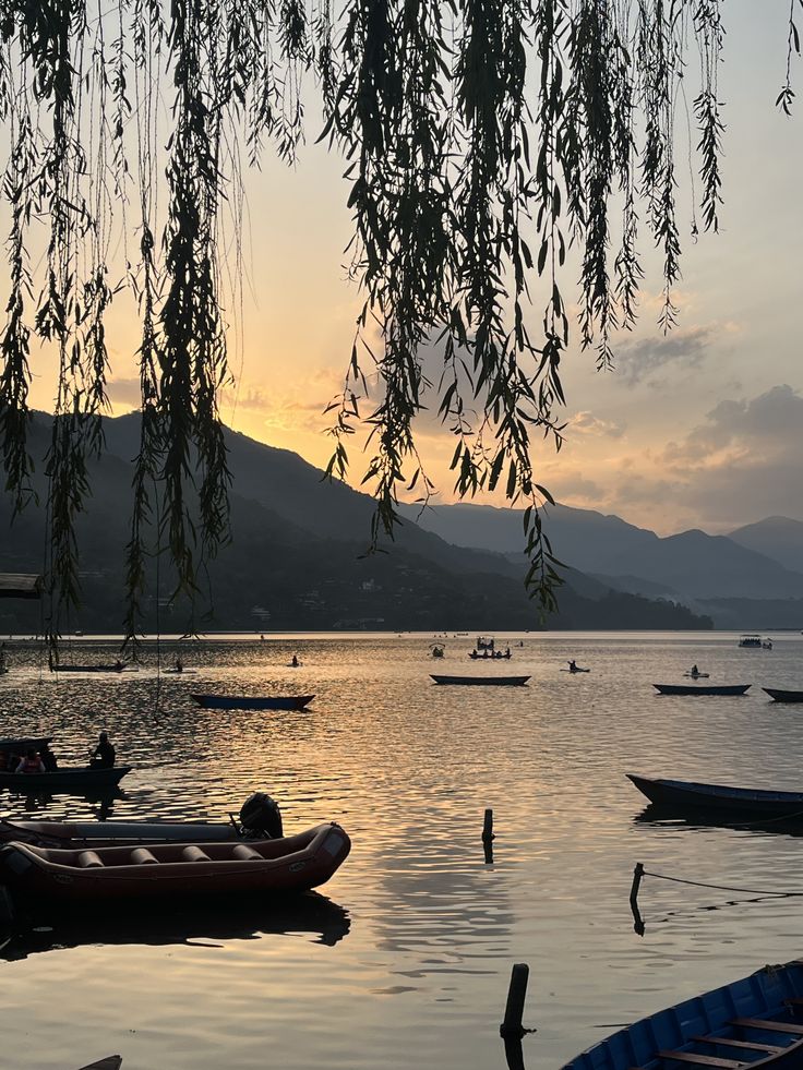 Phewa Lake