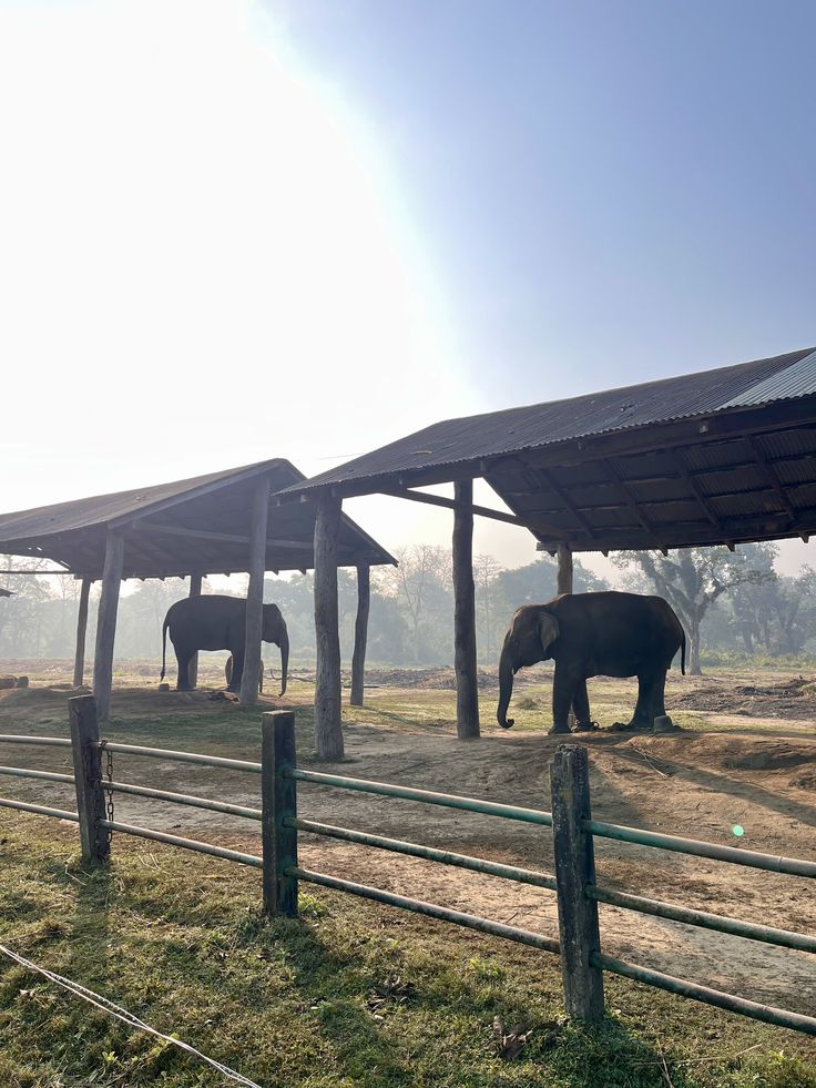 Chitwan National Park