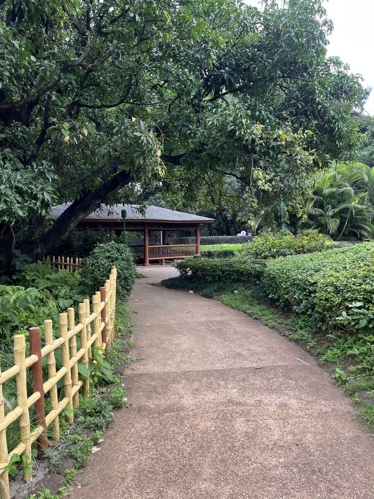 Japanese Garden
